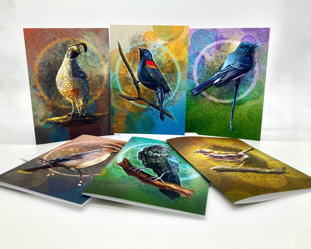 Birds of the Redwood Coast #1 Boxed Greeting Card Variety Pack