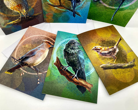 Birds of the Redwood Coast #1 Boxed Greeting Card Variety Pack