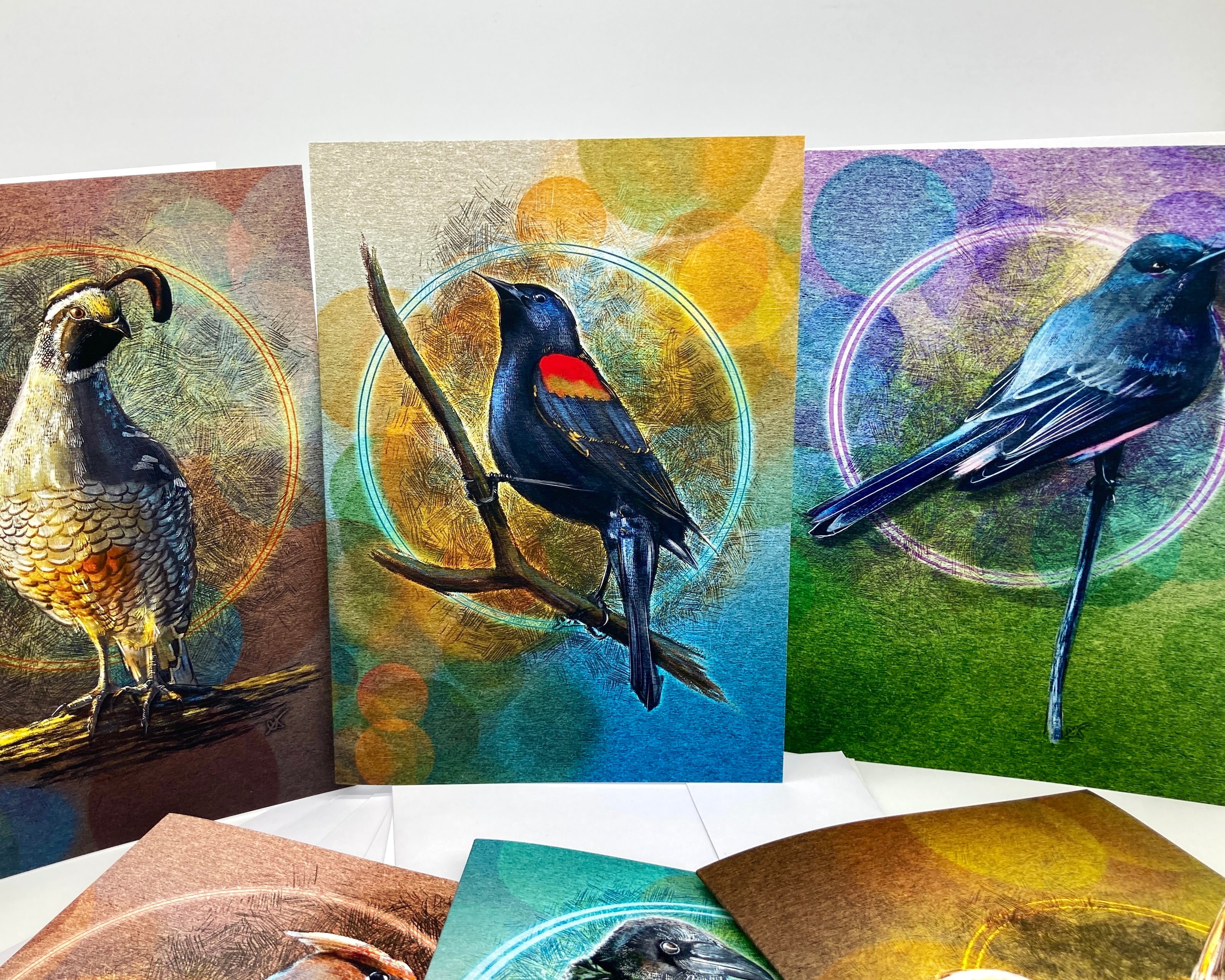 Birds of the Redwood Coast #1 Boxed Greeting Card Variety Pack
