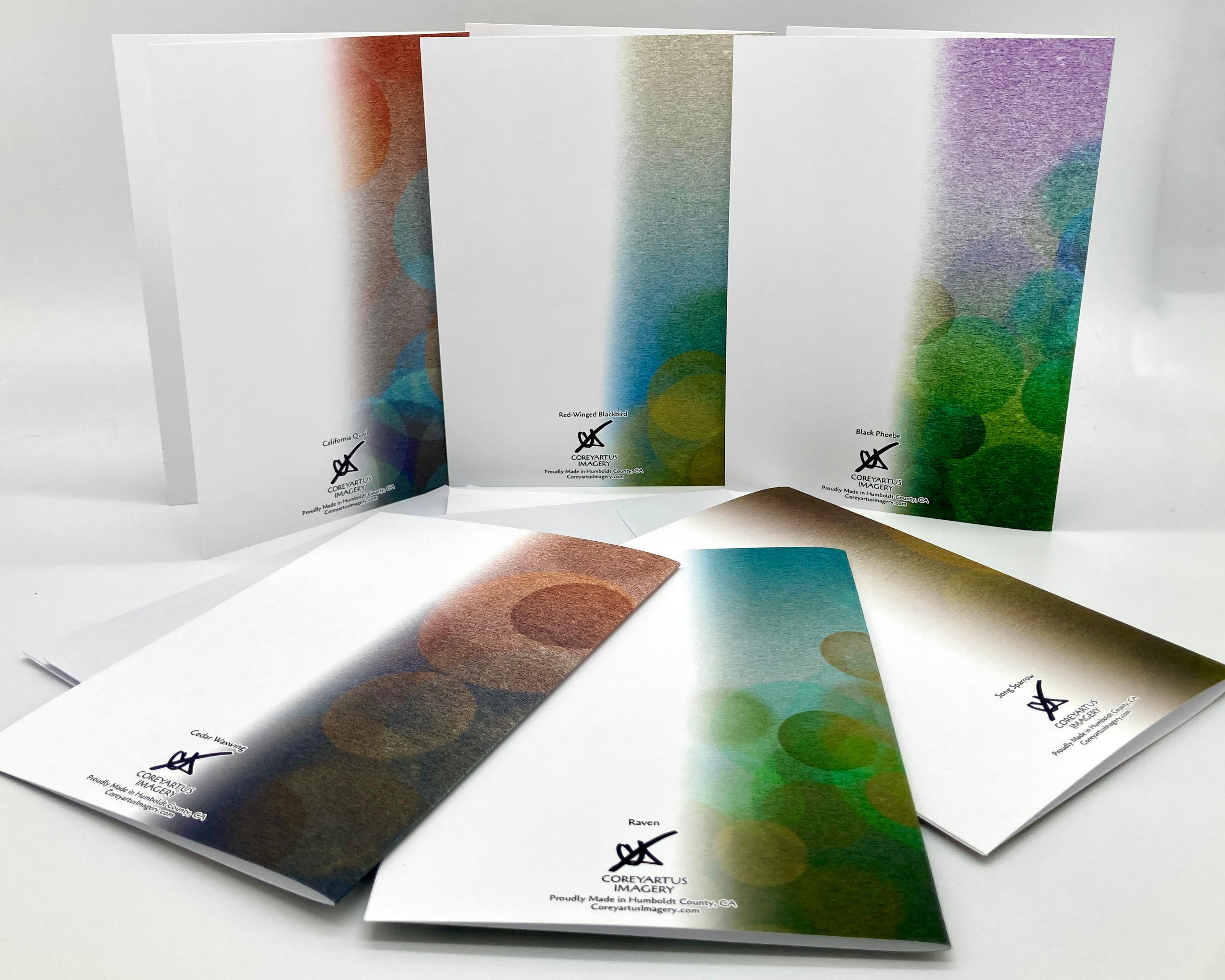 Birds of the Redwood Coast #1 Boxed Greeting Card Variety Pack