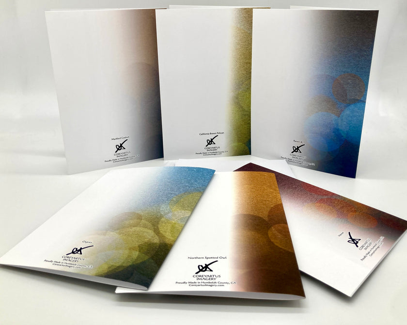 Backside of six greeting cards with abstract color patterns on a white background