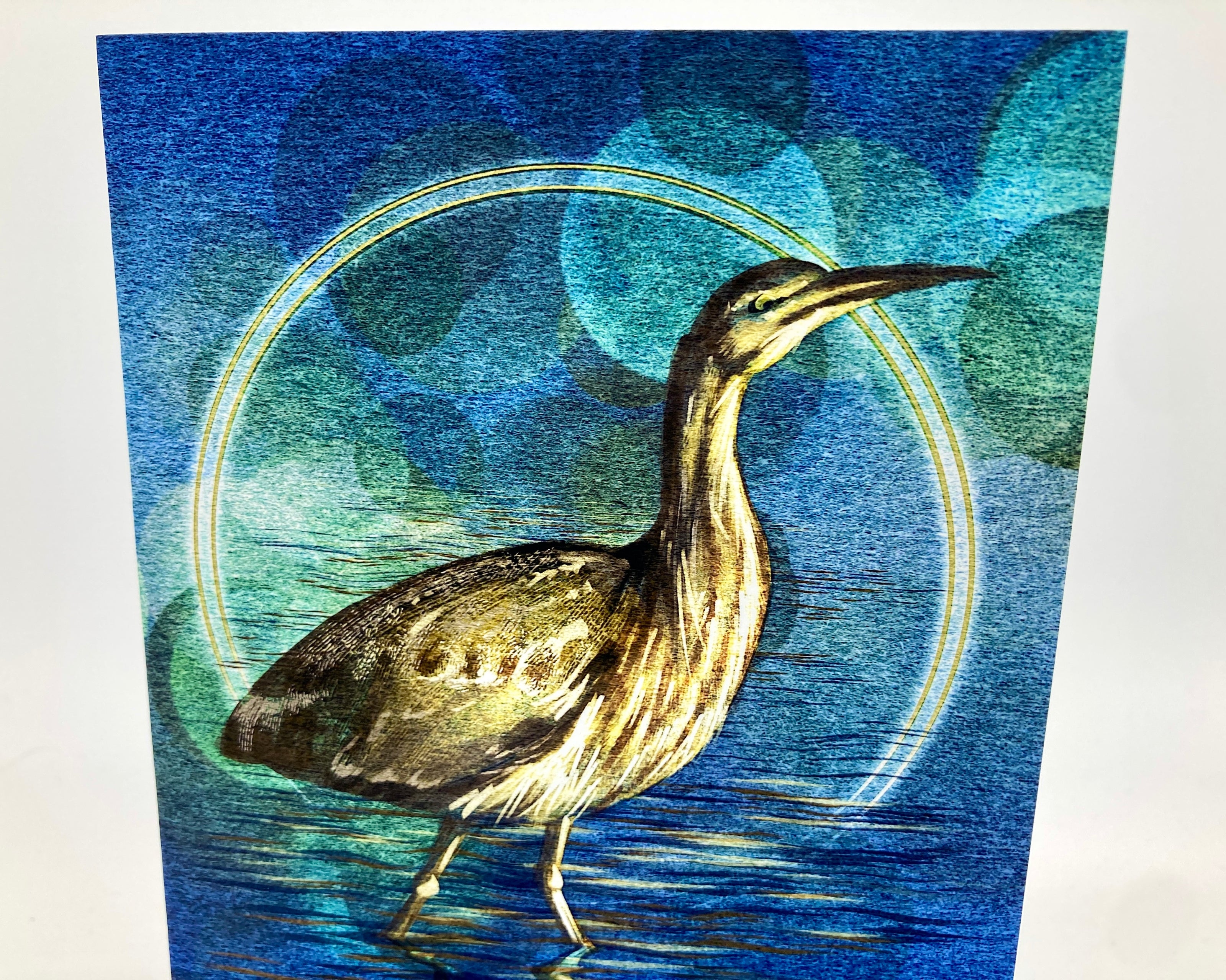 Illustration of a bird with a blue circular background