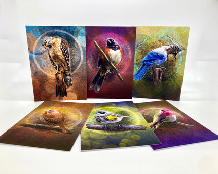 Set of six greeting cards with bird illustrations on a white background