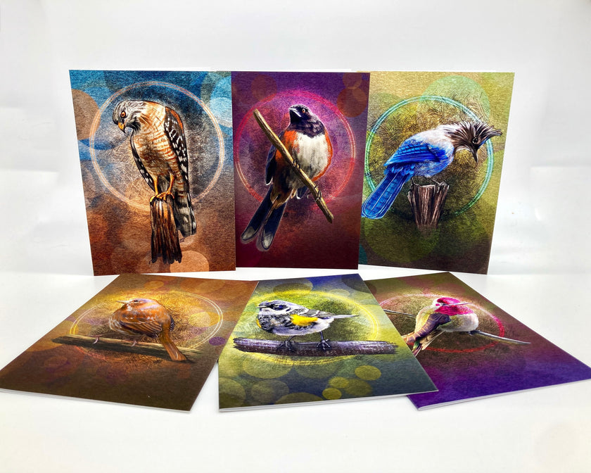 Set of six greeting cards with bird illustrations on a white background