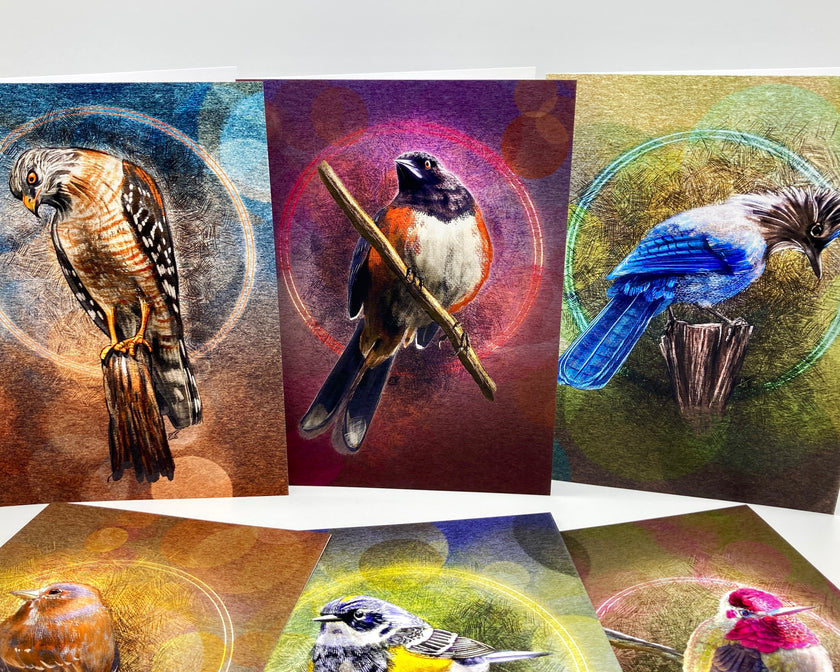Set of greeting cards with bird illustrations on a white background