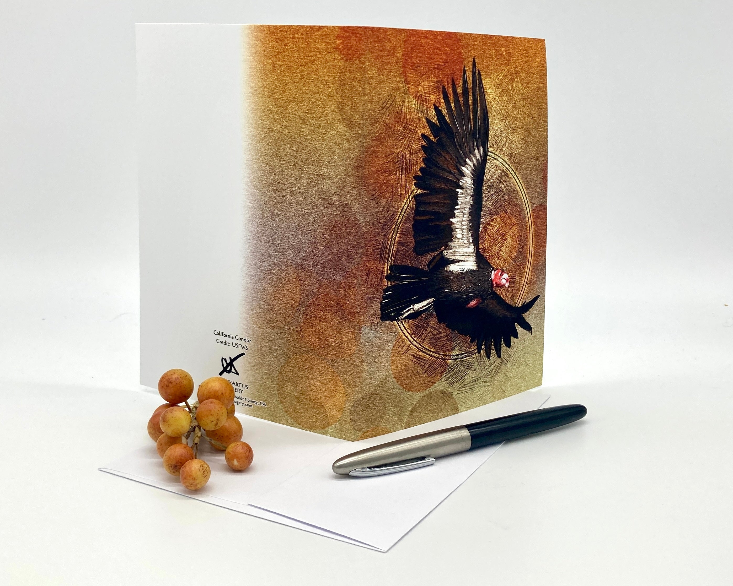 California Condor Single Greeting Card