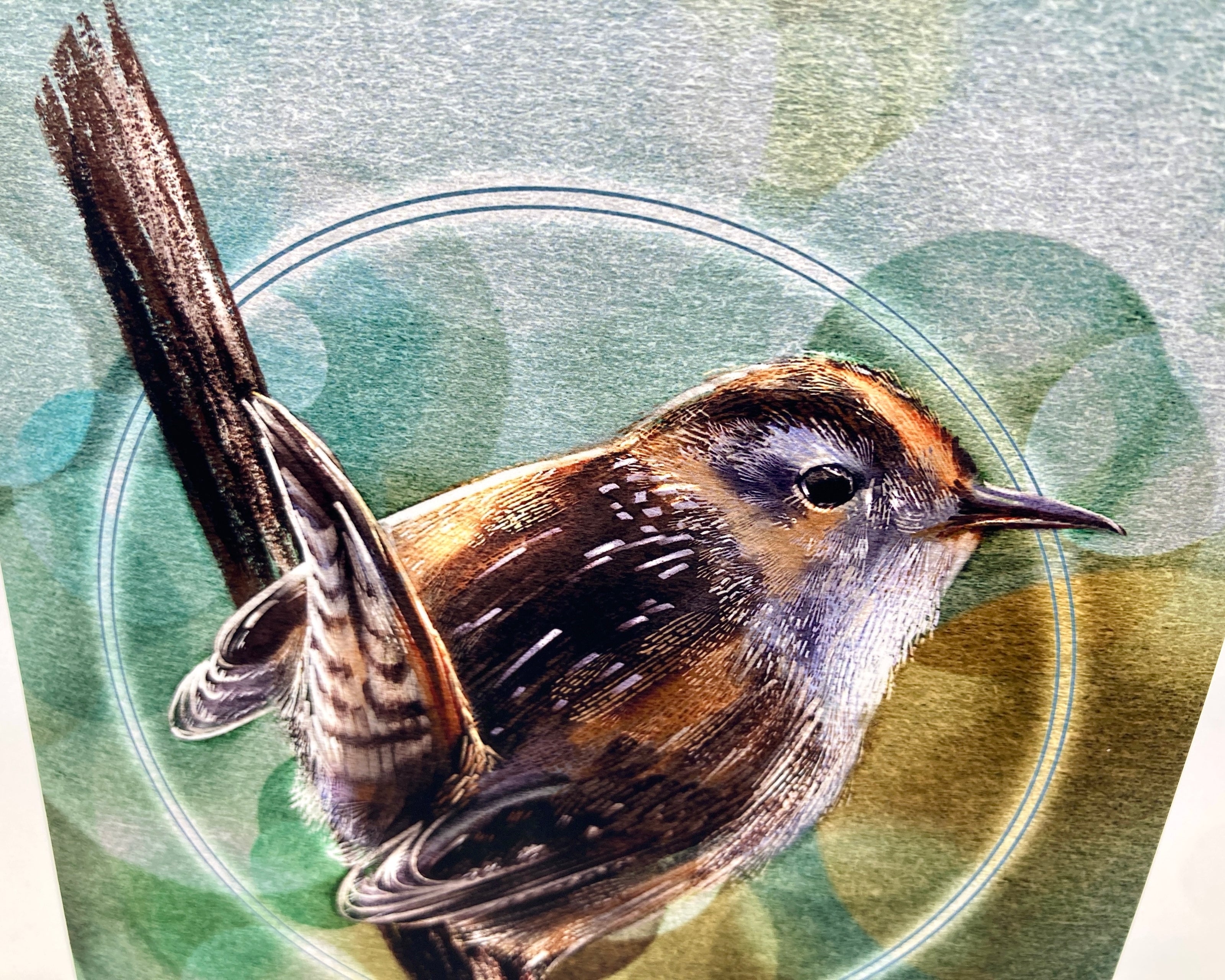 Illustration of a bird with a green circular background