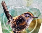 Illustration of a bird with a green circular background
