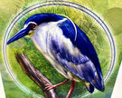 Illustration of a blue and white bird perched on a branch with a green background
