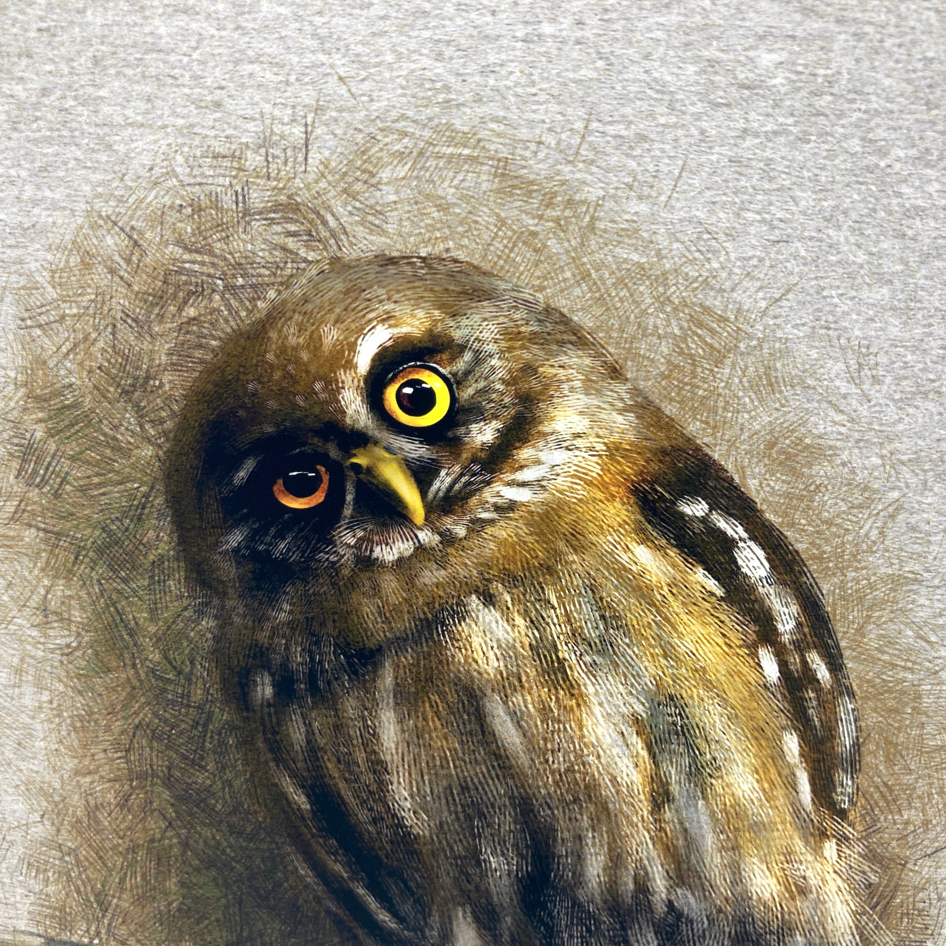 Detailed painting of an owl on a textured gray background