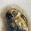 Detailed painting of an owl on a textured gray background