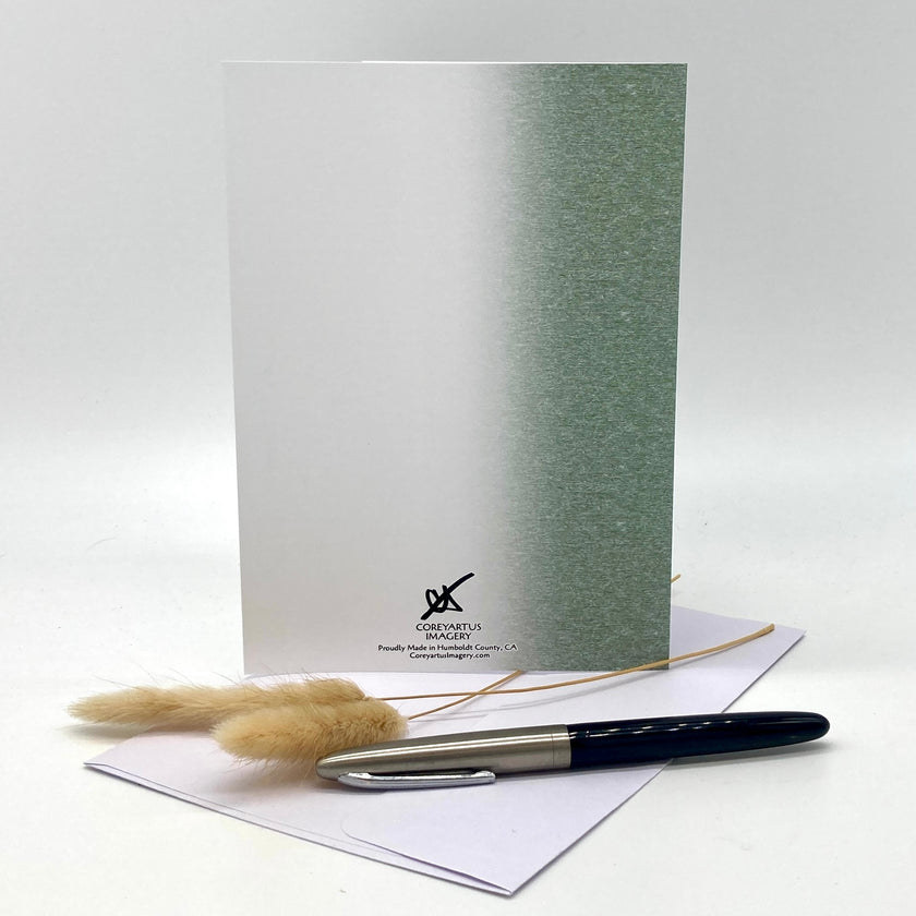 Greeting card with pen and dried plants on a white background