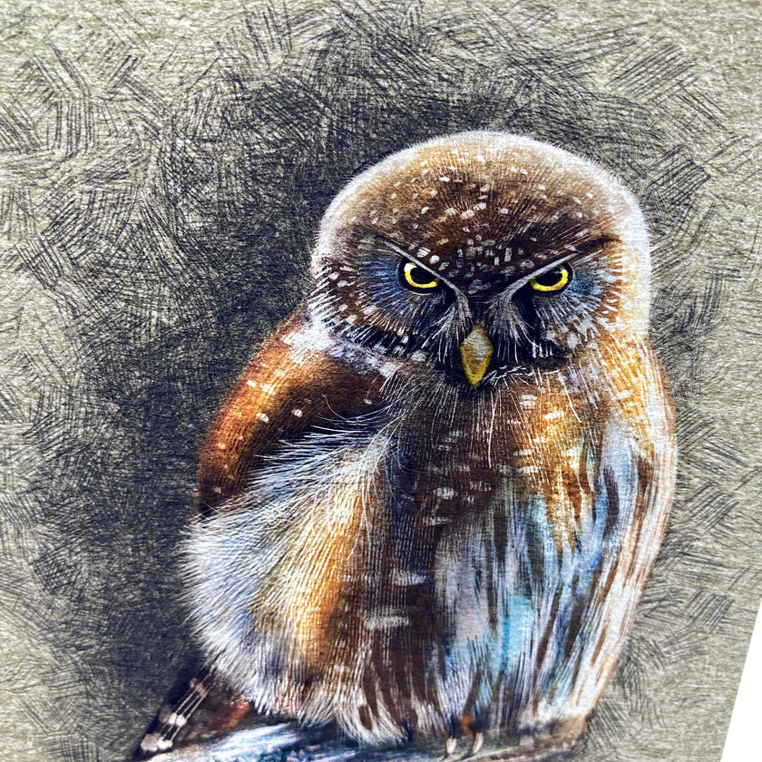 Detailed illustration of an owl with a textured background