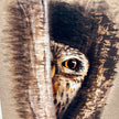 Owl peeking out from behind a tree trunk