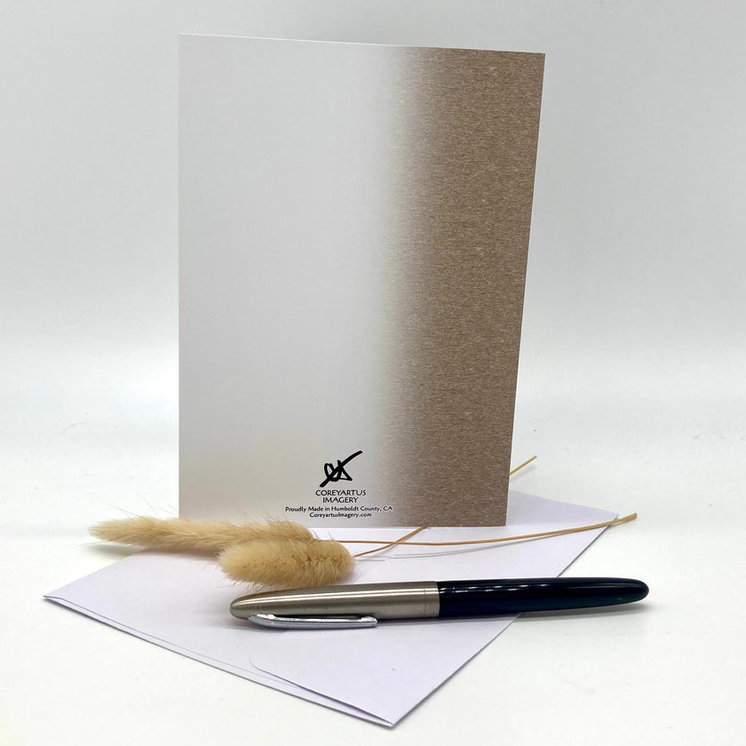 Backside of a greeting card with props, arranged against a white background.