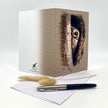 Greeting card with peering owl design, pen, and envelope on a white background