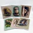 Set of six greeting cards featuring owl illustrations on a white background