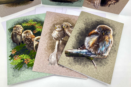 Set of greeting cards with owl illustrations on a white surface