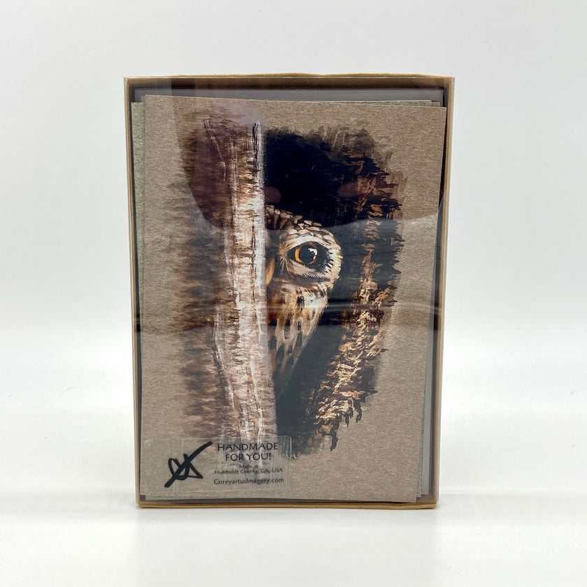Boxed collection of greeting cards with owl design on the cover, displayed in a box.