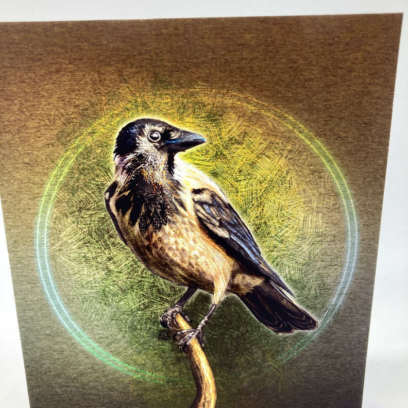 Illustration of a bird on a branch with a textured circular background