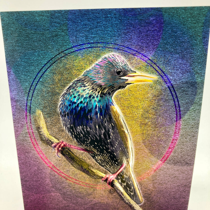 Colorful illustration of a bird with a circular frame on a textured background