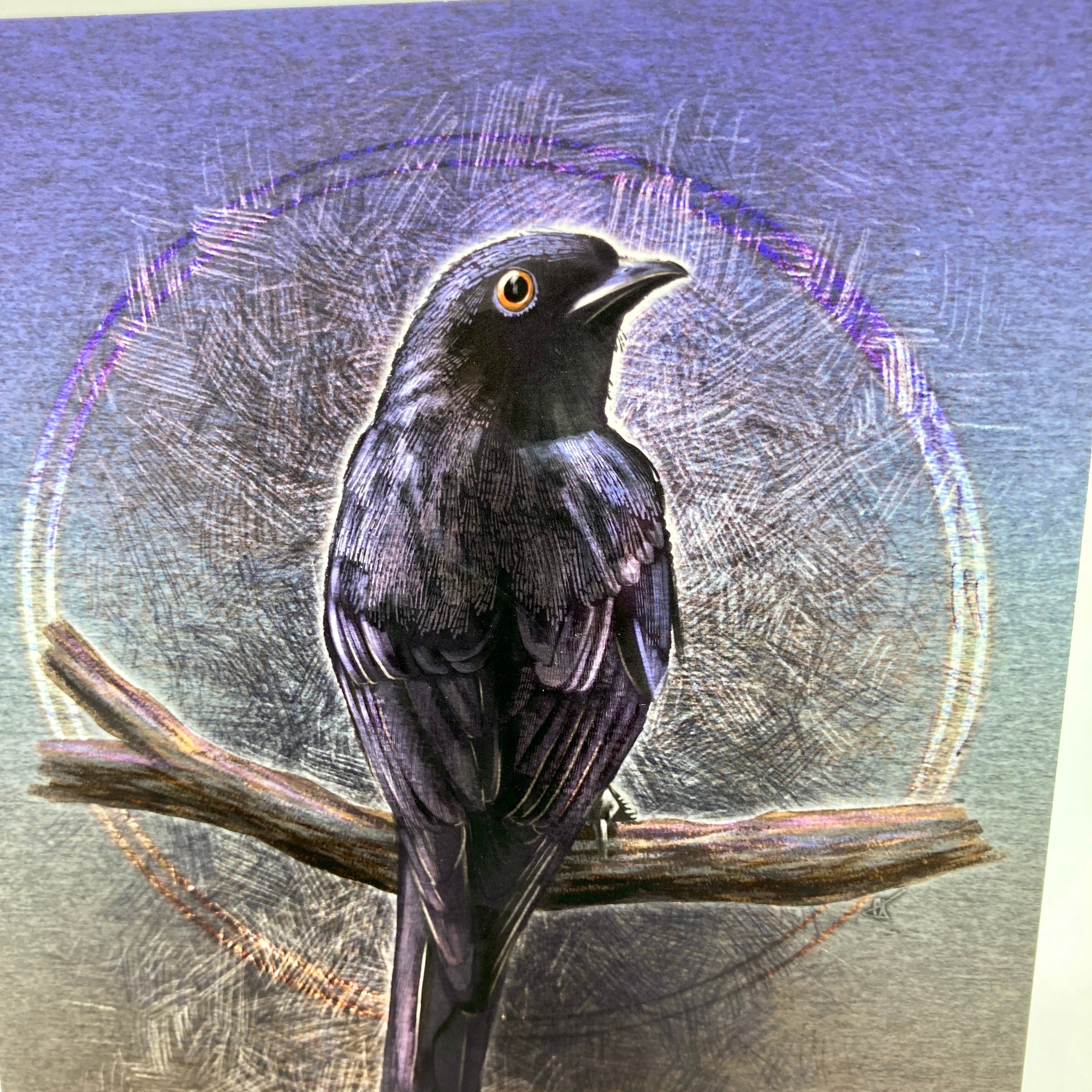 Illustration of a bird perched on a branch with a textured background