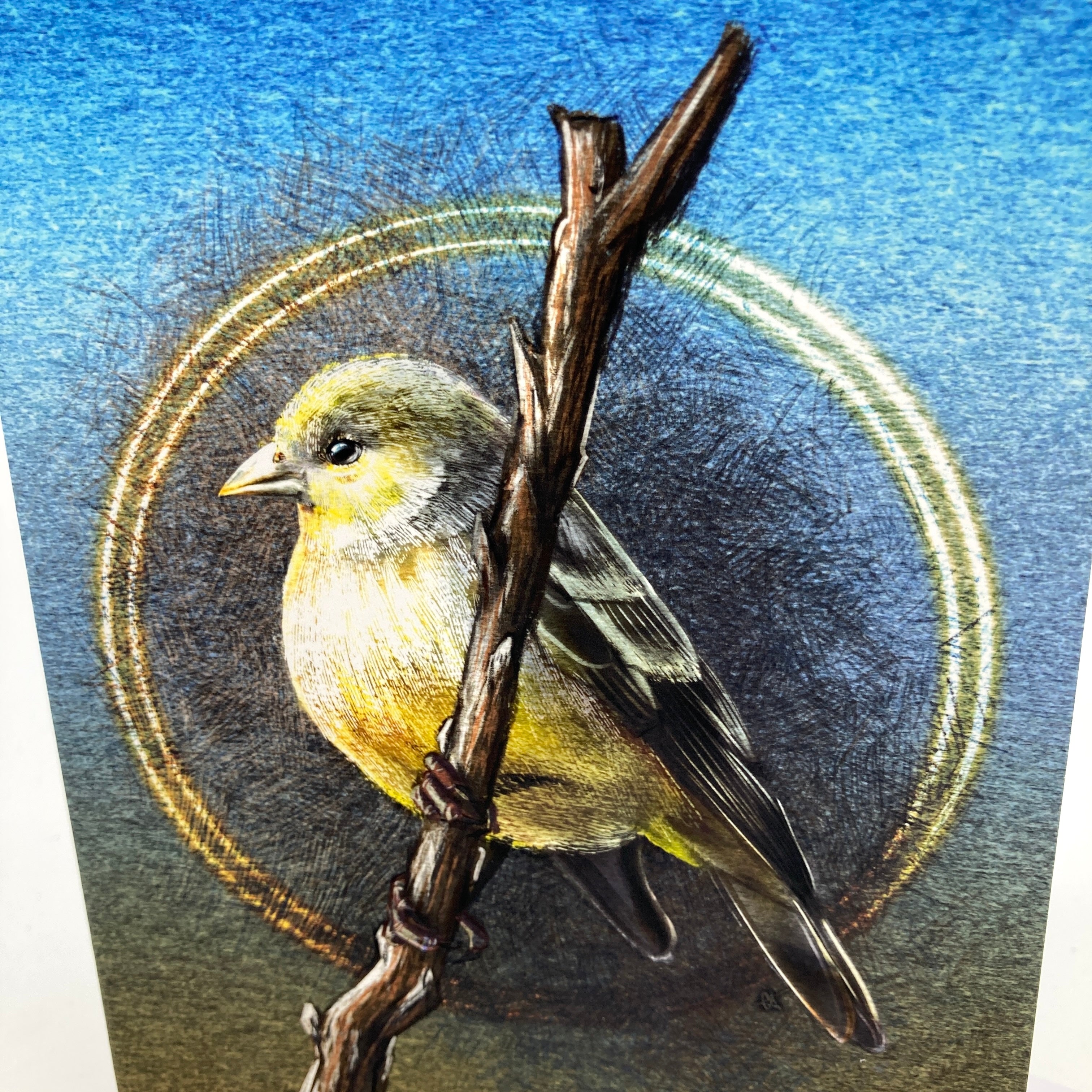 Bird perched on a branch with a blue and gold circular background