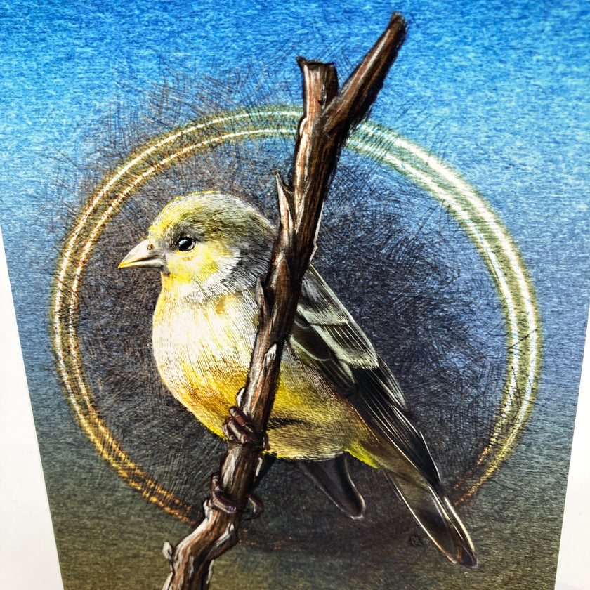 Bird perched on a branch with a blue and gold circular background