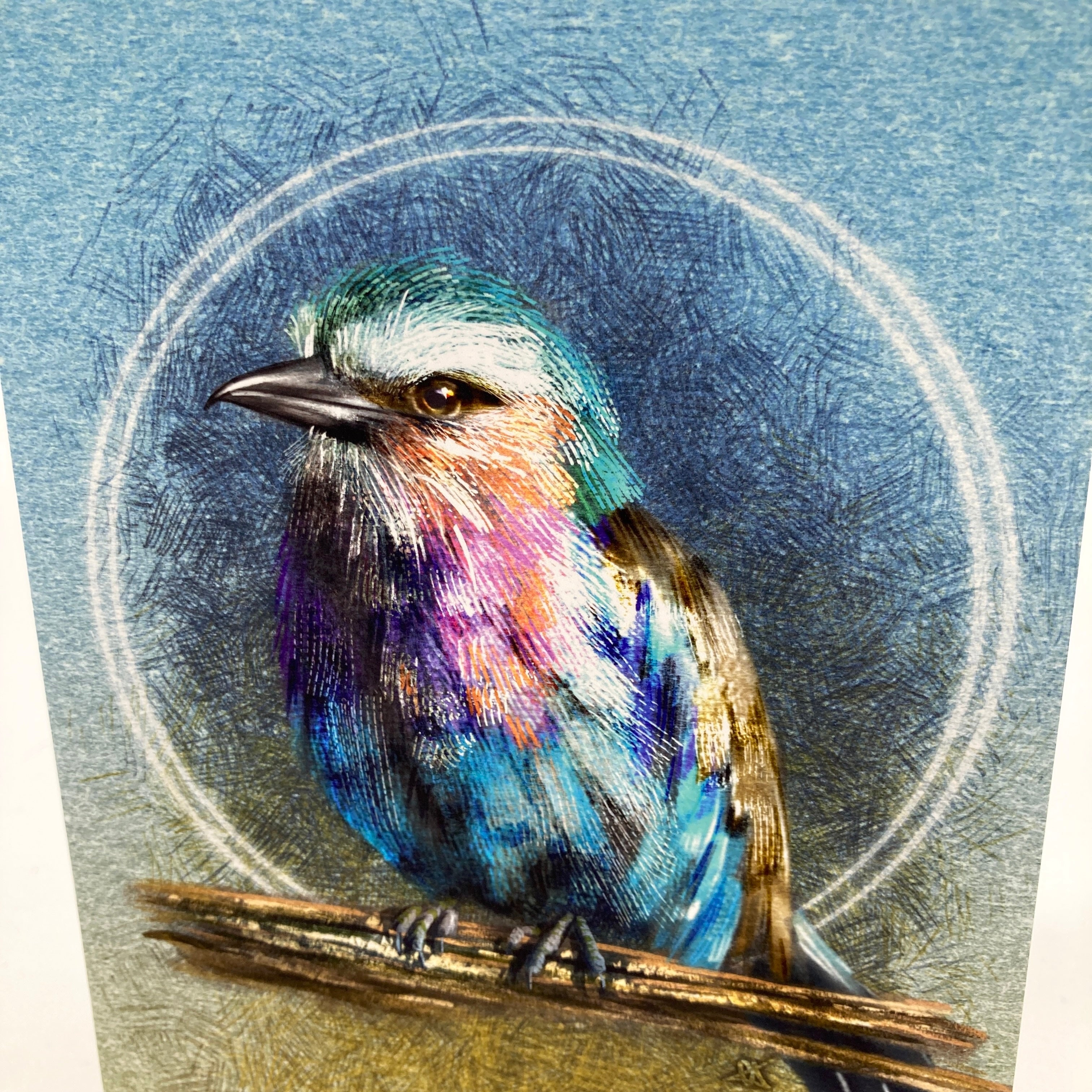 Colorful bird illustration on a textured blue background