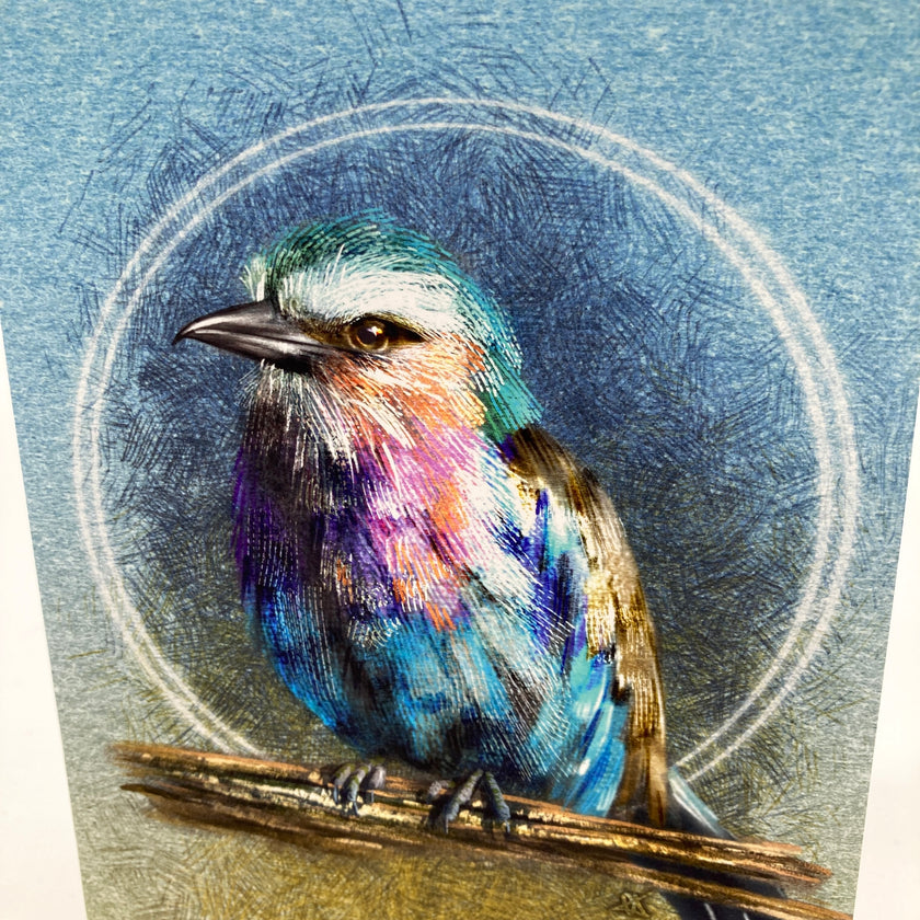 Colorful bird illustration on a textured blue background