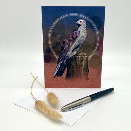 Goshawk Single Greeting Card