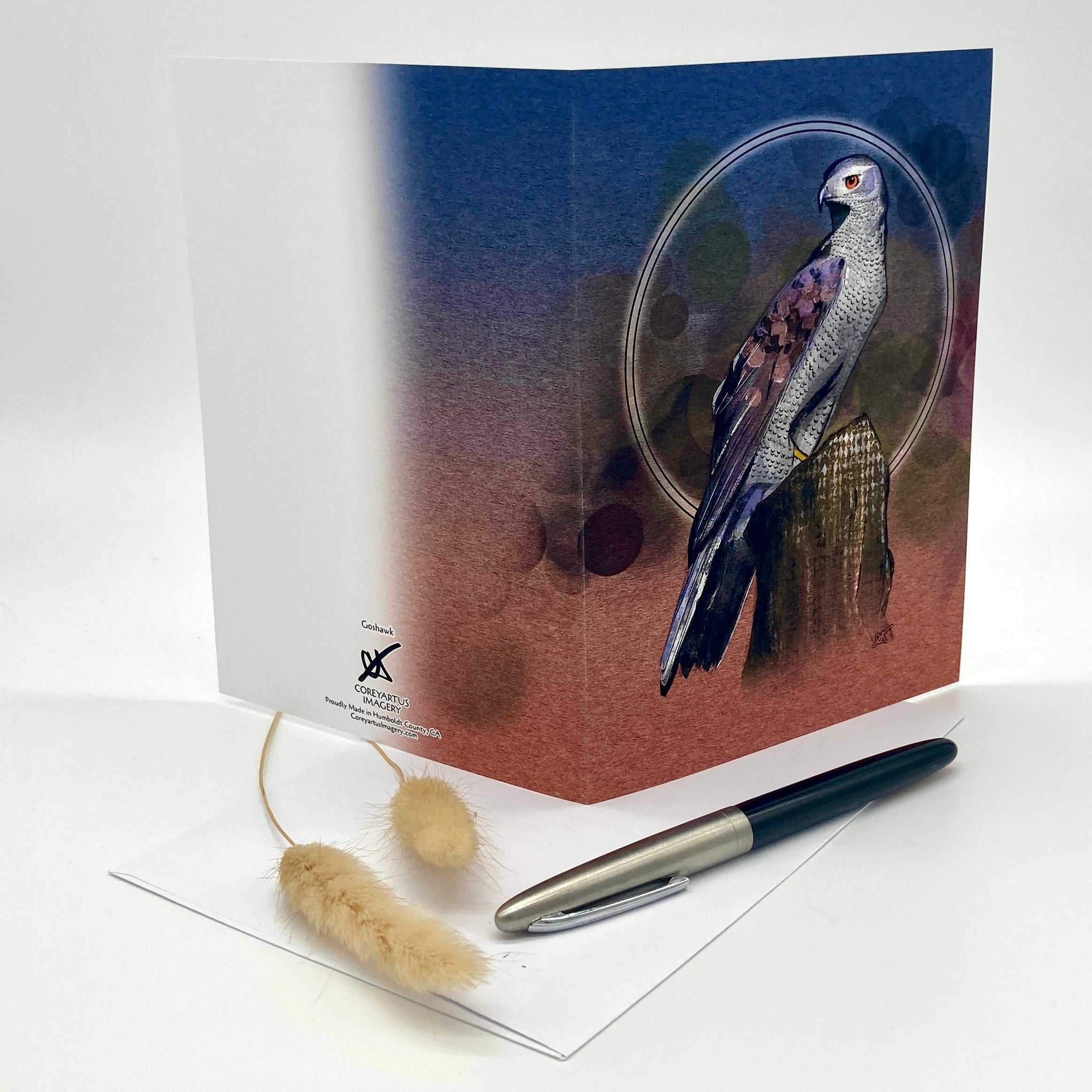 Goshawk Single Greeting Card