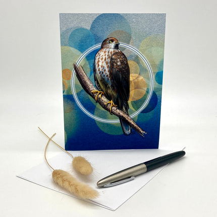 Cooper's Hawk Single Greeting Card
