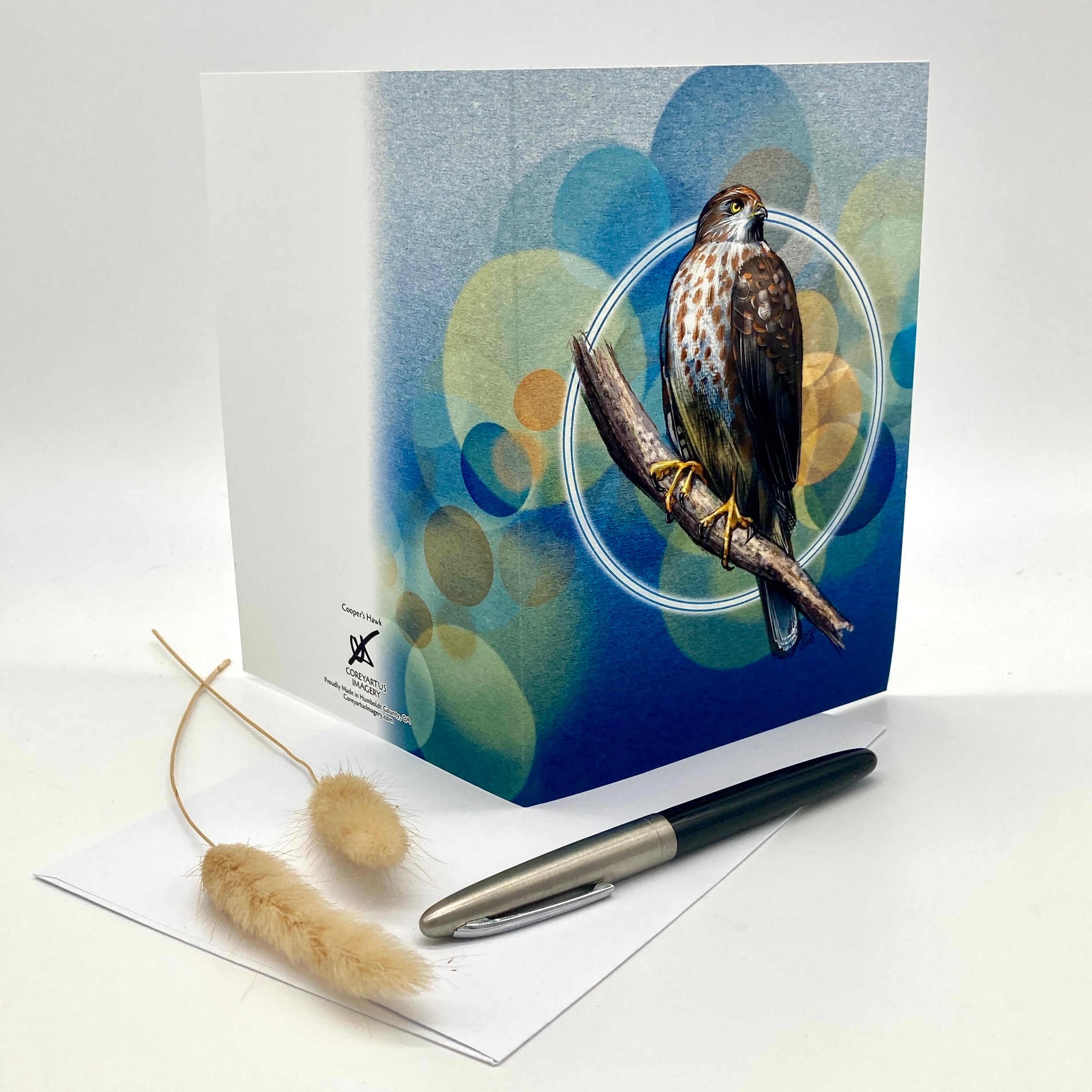 Cooper's Hawk Single Greeting Card