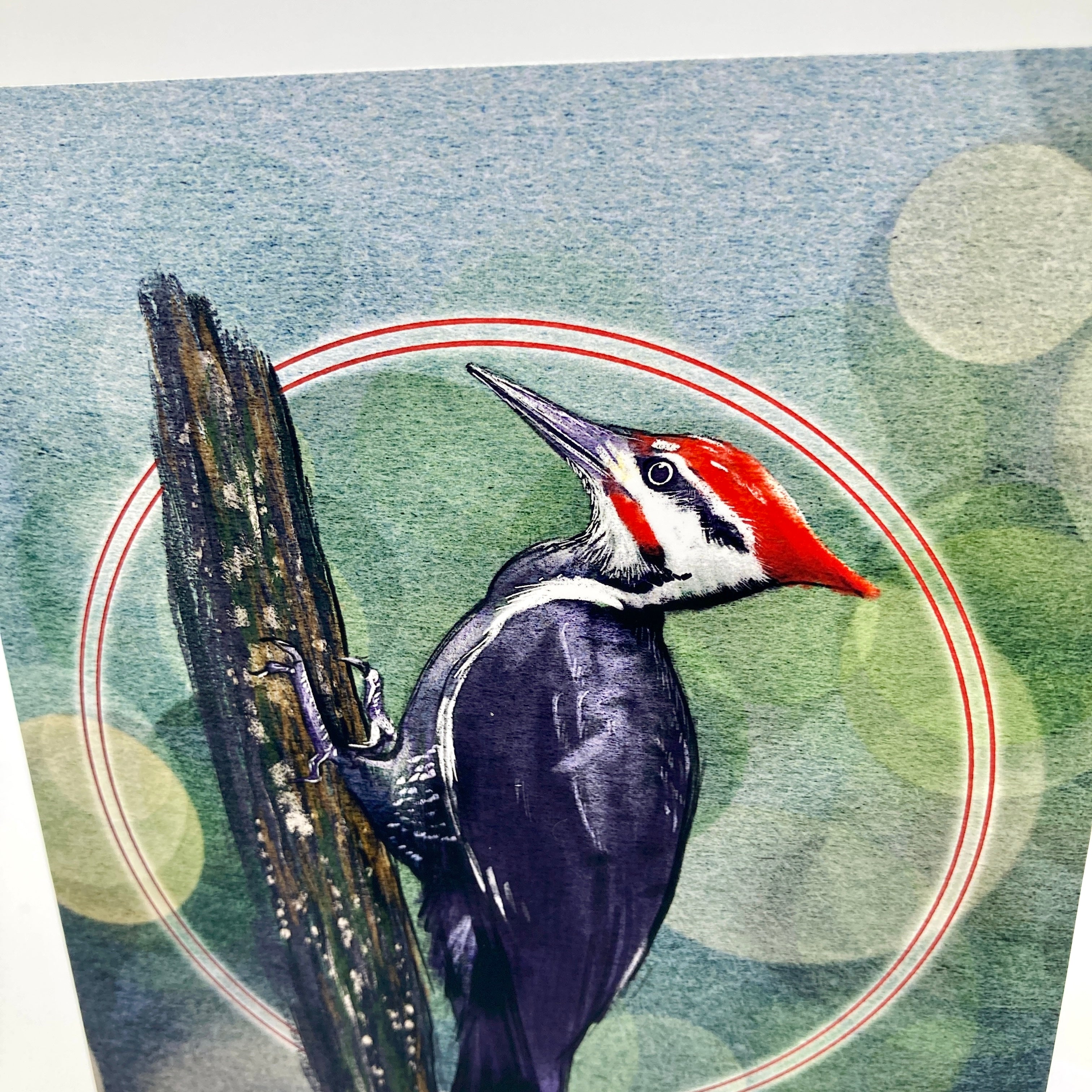 Pileated Woodpecker Single Greeting Card