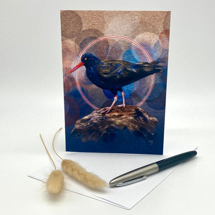 Black Oystercatcher Single Greeting Card