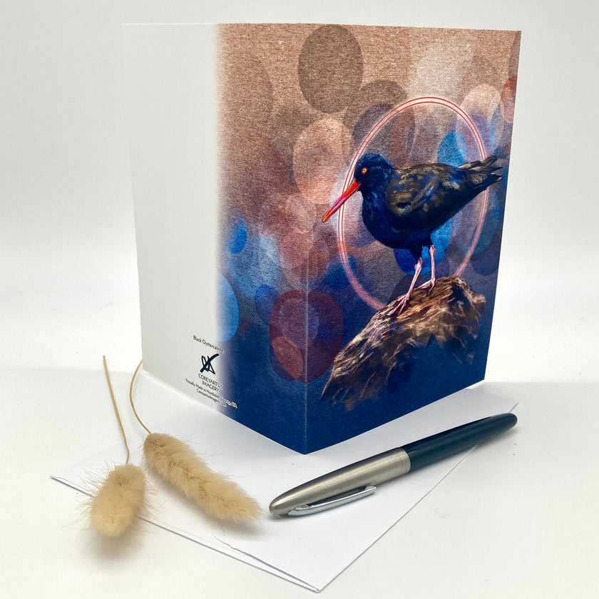 Black Oystercatcher Single Greeting Card