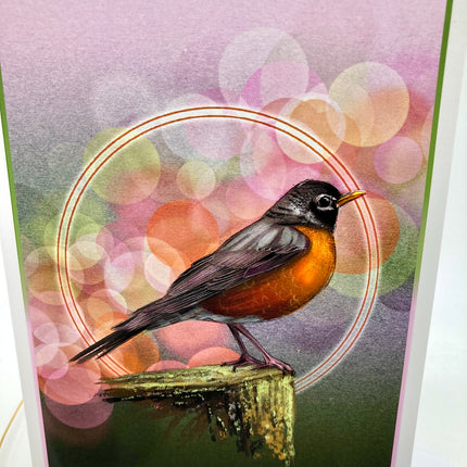 American Robin Single Greeting Card