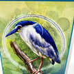 A square art print or card featuring a painted blue-and-white bird perched on a brown branch, set against a green textured background with circular bokeh-style overlays.