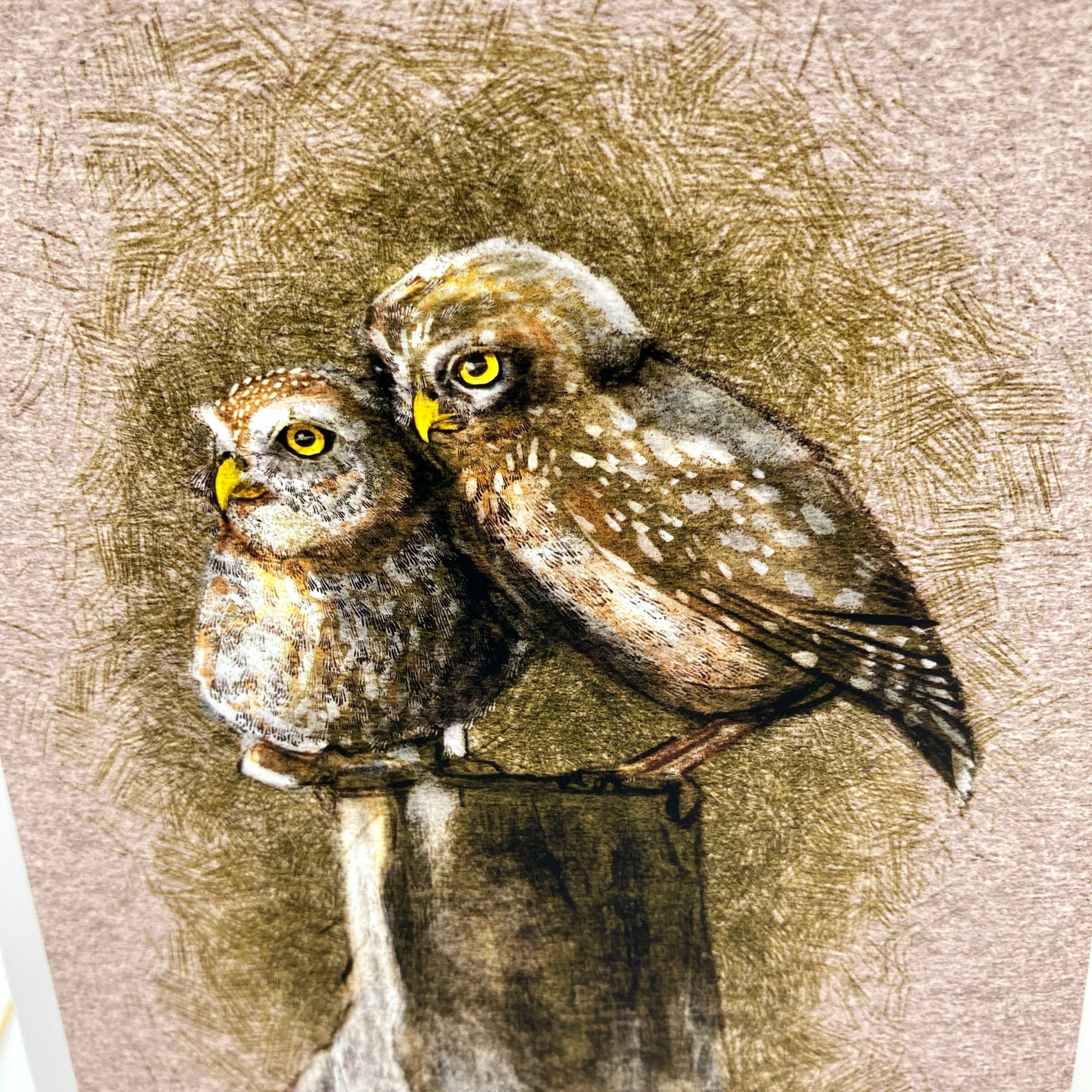 A close up of a  bird greeting card in brown featuring two burrowing pygmy owls on a stump.