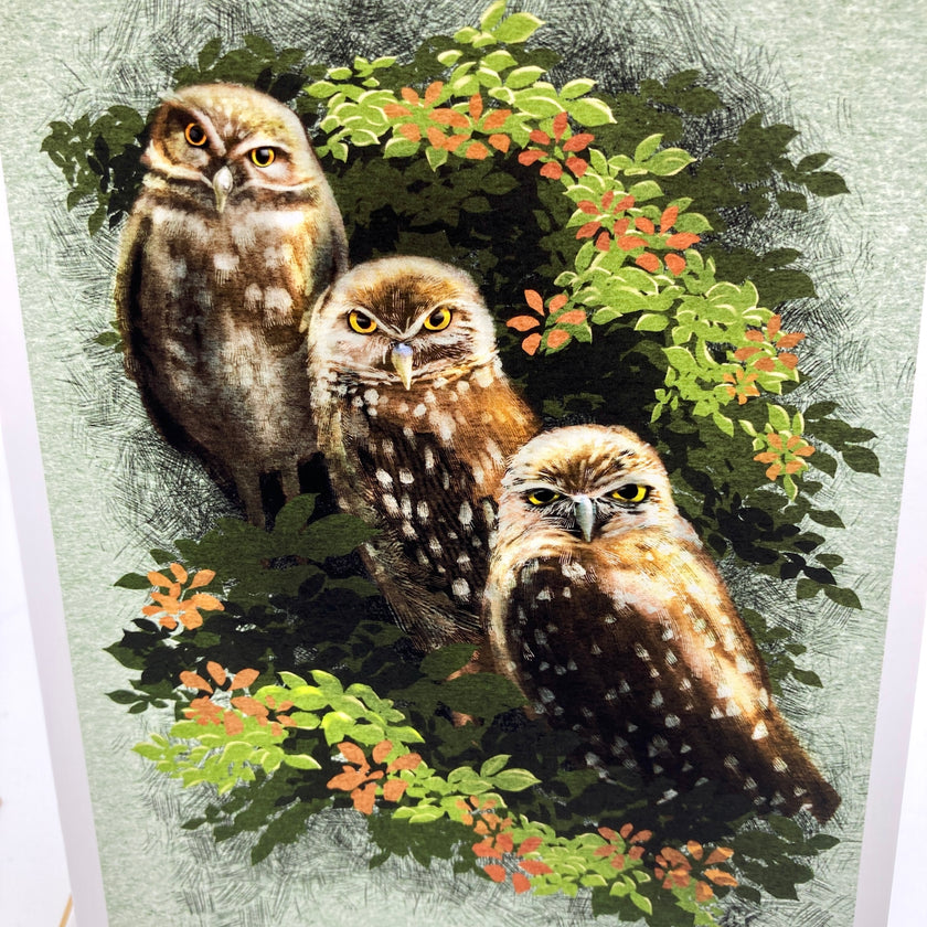 Close up photo of a greeting card posed with complimentary props on a white background. Card features three burrowing owls with different expressions staring straight at the viewer against aa green paper background.