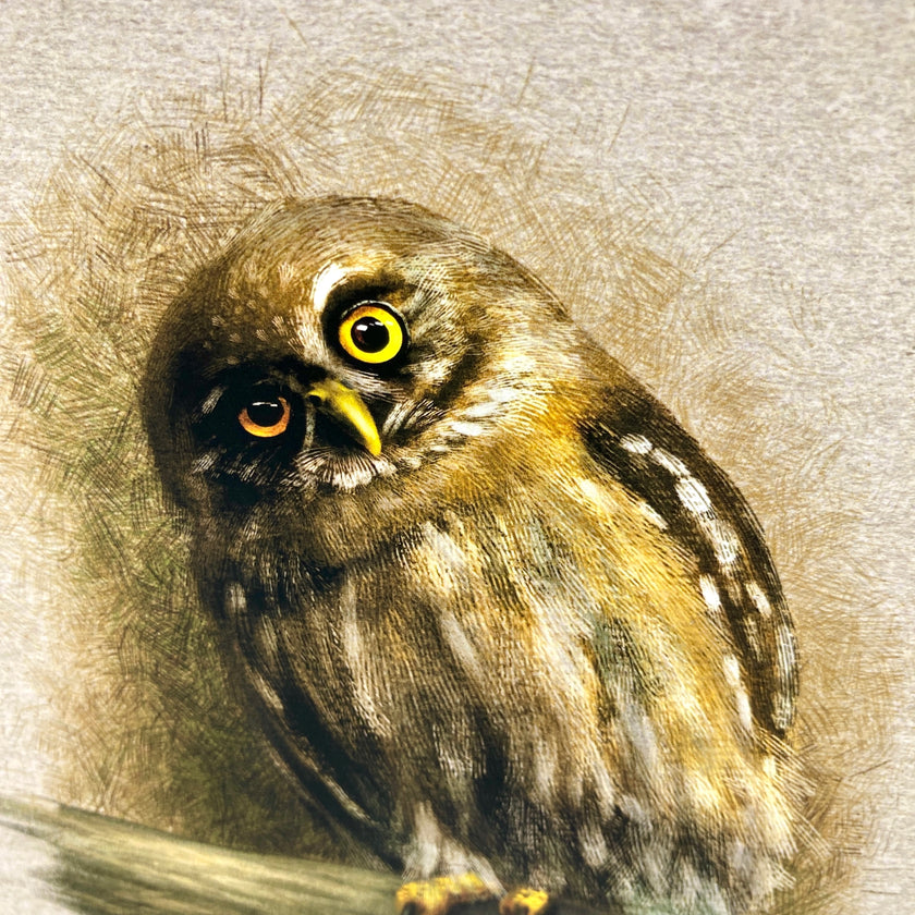 Close up of a segment of a greeting card illustration featuring an owl with a cocked head staring at the viewer.