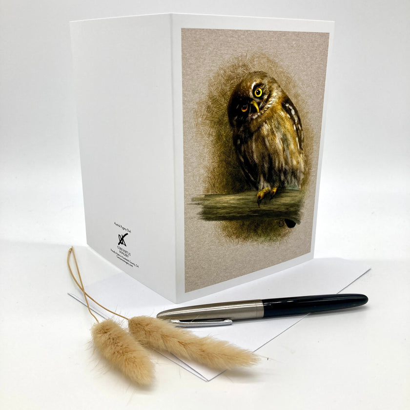Splayed out greeting card featuring an illustrated owl, displayed with a sprig of wild grasses and a writing pen on a white envelope against a white background. 