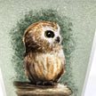 A close-up of an owl illustration or print on a textured light green background, with the owl shown in brown, beige, and white tones perched on a branch.