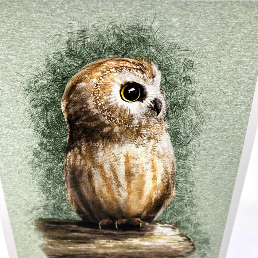 A close-up of an owl illustration or print on a textured light green background, with the owl shown in brown, beige, and white tones perched on a branch.