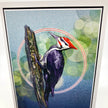A framed art print featuring a detailed illustration of a woodpecker clinging to a tree trunk, set against a blue and green bokeh background with red circular accents.