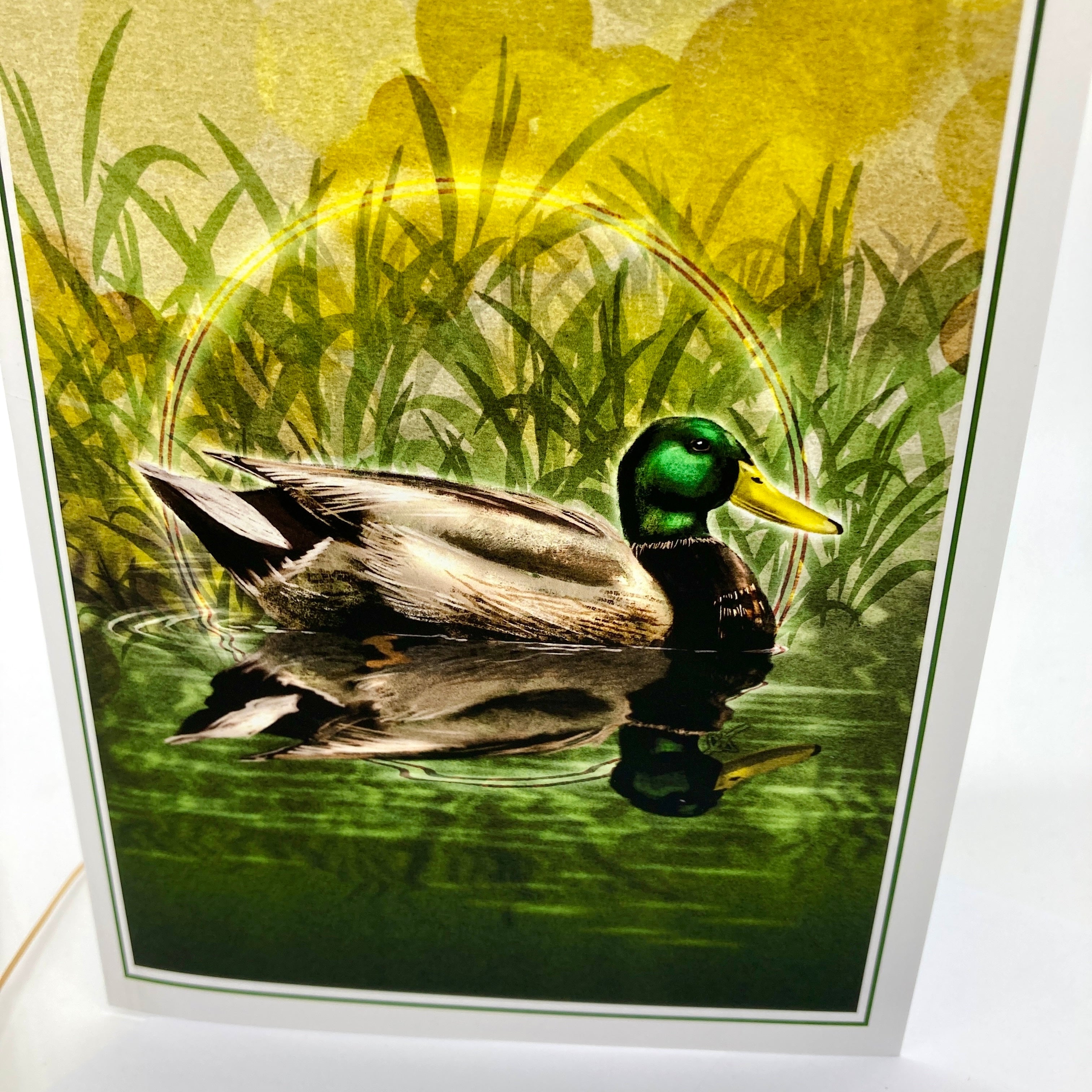 Close up of an illustrated greeting card featuring a mallard duck in green grasses.