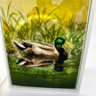 Close up of an illustrated greeting card featuring a mallard duck in green grasses.
