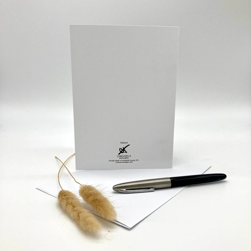 Back of a greeting card, posed with a sprig of grasses and an ink pen on a white background.