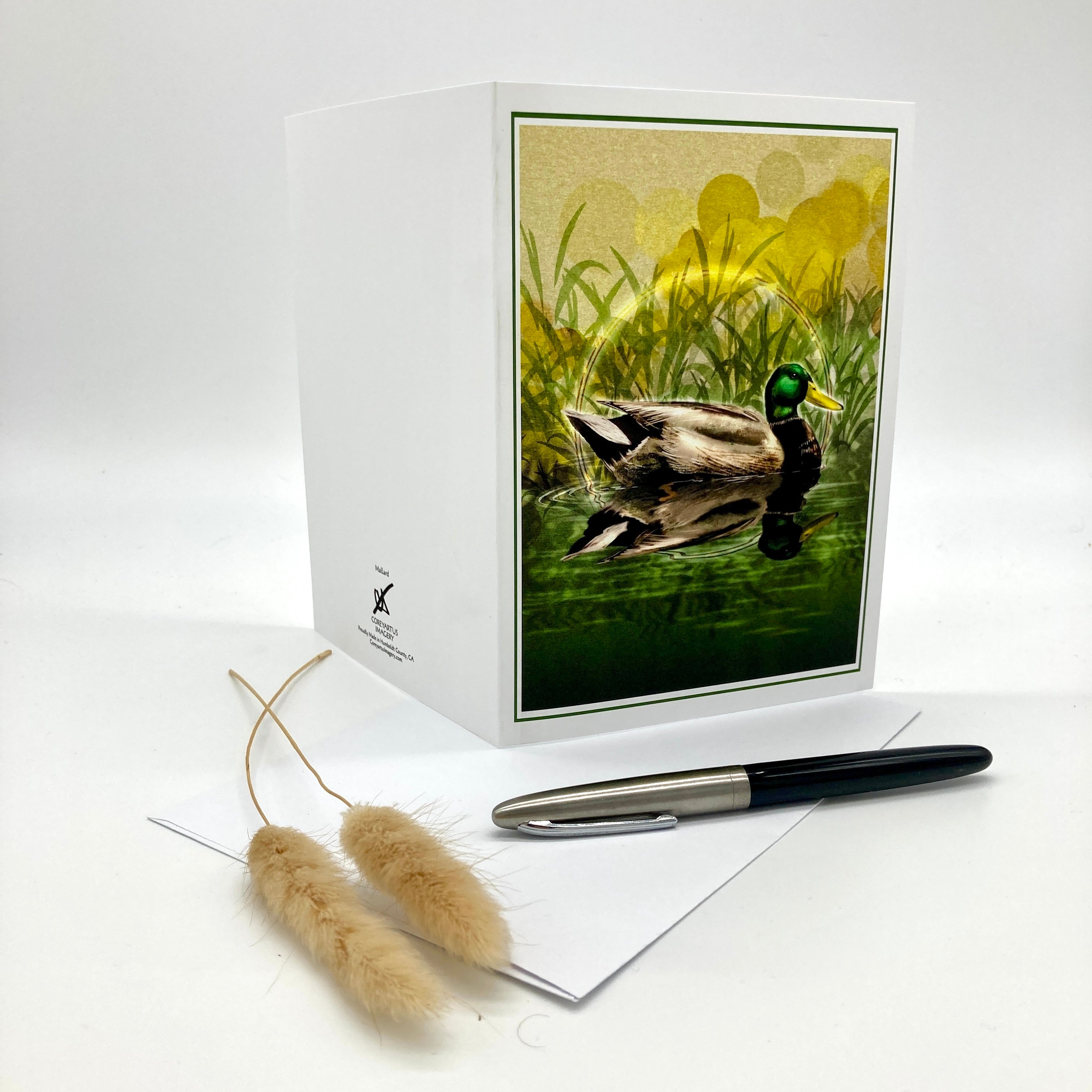 An illustrated greeting card featuring an illustration of a mallard duck, splayed out to show both the front and the back. It is posed against a white background with a grass sprig and an ink pen as accompanying props.